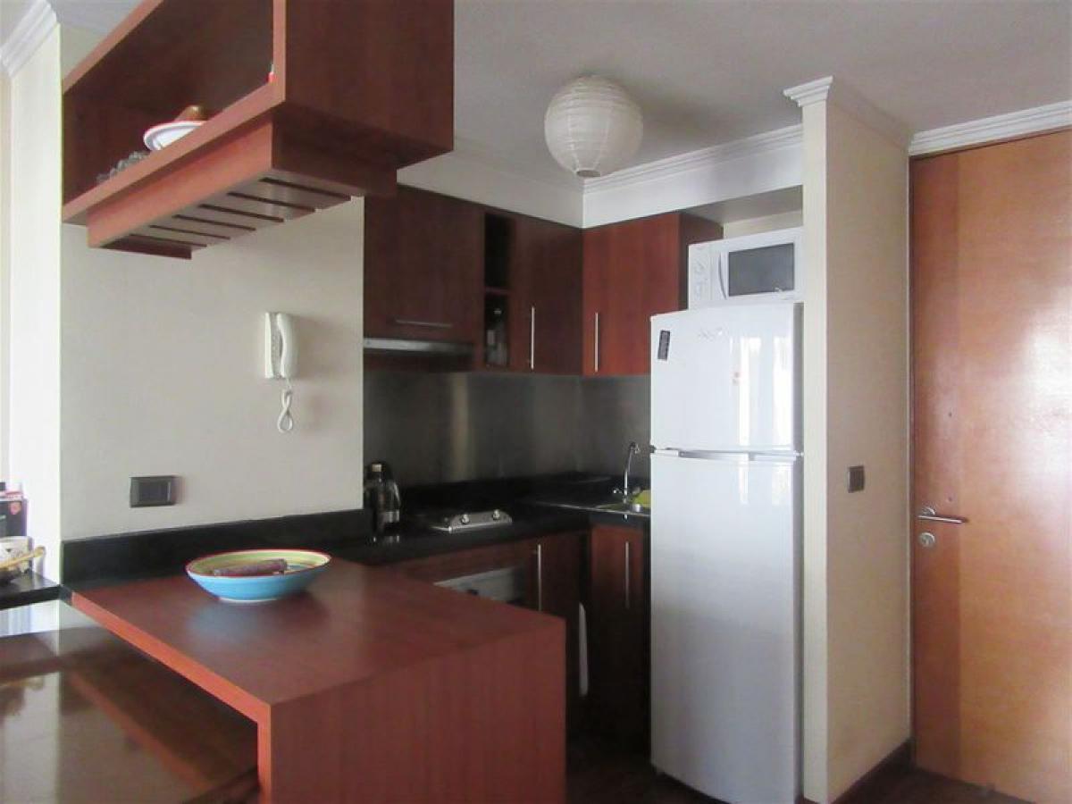 Studio in Santiago, Chile No. 2089