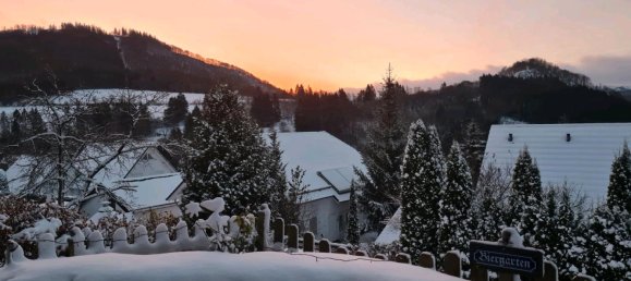 Apartamento de 1 dormitorio en Hochsauerlandkreis, Germany No. 296860 12