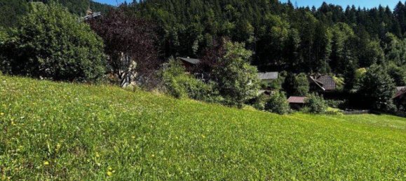  قطعة أرض في Liezen, Austria 799متر مربع رقم 24396 2