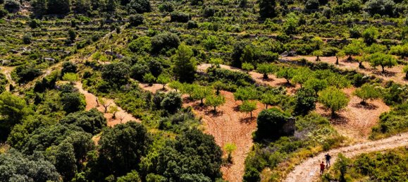  فندق في Sierra Engarceran, Spain رقم 189702 11