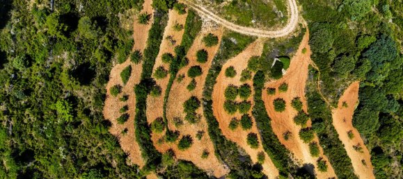  فندق في Sierra Engarceran, Spain رقم 189702 5