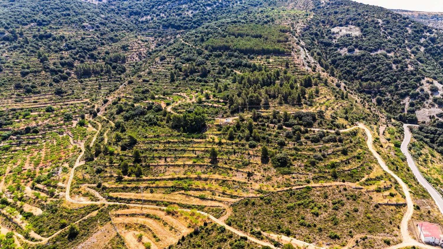  فندق في Sierra Engarceran, Spain رقم 189702