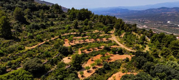  فندق في Sierra Engarceran, Spain رقم 189702 15