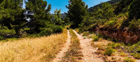  فندق في Sierra Engarceran, Spain رقم 189702 10