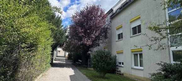 Apartamento de 2 dormitorios en Wolkersdorf im Weinviertel, Austria No. 259005 21