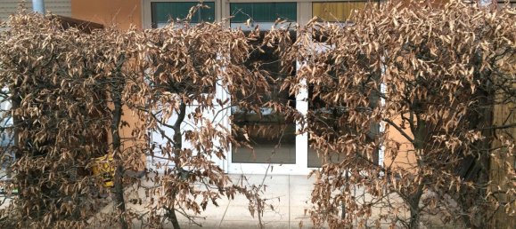 1 غرف نوم شقة في Regensburg, Germany رقم 321393 7