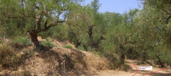 Grundstück in Zakynthos, Greece, Nr. 703 7