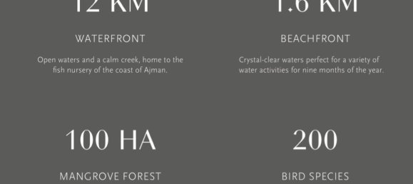 1 bedroom Apartment in Ajman, UAE No. 38227 22