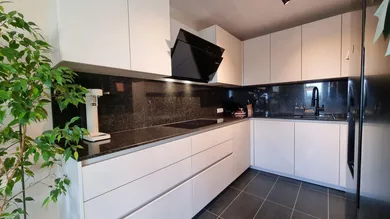 Ático de 4 habitaciónes en Liesing, Austria No. 159763