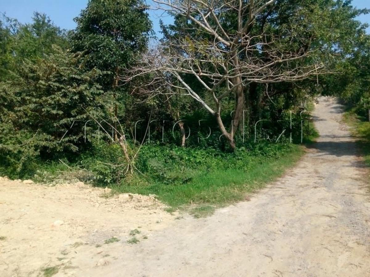  Land in Veracruz, Mexico No. 203423