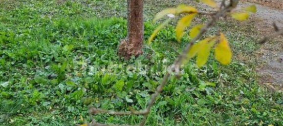 6 bedrooms Villa in San Biagio di Callalta, Italy No. 195848 10