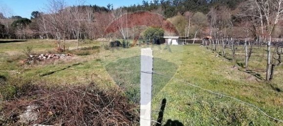 Grundstück in Ponte de Lima, Portugal 1600m², Nr. 67060 23