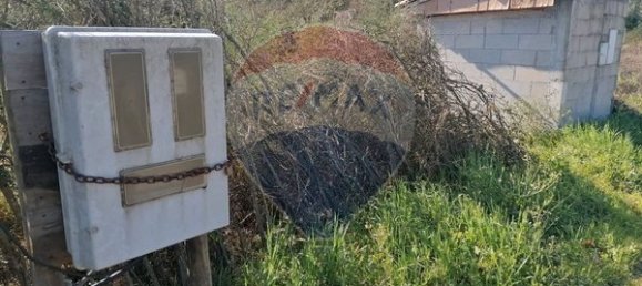 Grundstück in Ponte de Lima, Portugal 1600m², Nr. 67060 16