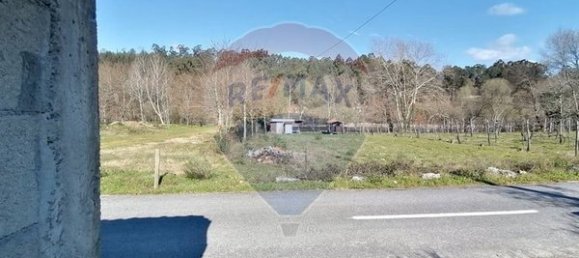 Grundstück in Ponte de Lima, Portugal 1600m², Nr. 67060 11