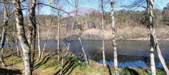 Grundstück in Ponte de Lima, Portugal 1600m², Nr. 67060 19