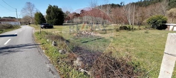 Grundstück in Ponte de Lima, Portugal 1600m², Nr. 67060 17