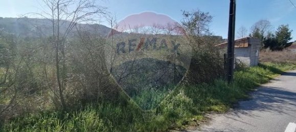 Grundstück in Ponte de Lima, Portugal 1600m², Nr. 67060 25