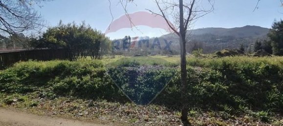 Grundstück in Ponte de Lima, Portugal 1600m², Nr. 67060 15