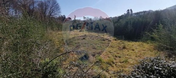 Grundstück in Ponte de Lima, Portugal 1600m², Nr. 67060 14