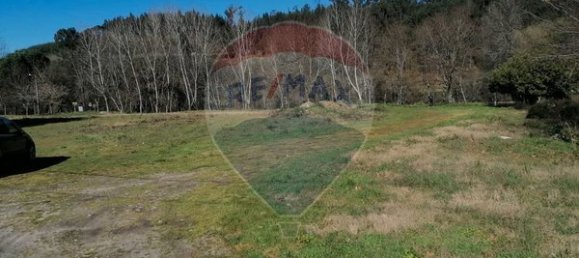 Grundstück in Ponte de Lima, Portugal 1600m², Nr. 67060 26