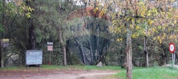 Grundstück in Ponte de Lima, Portugal 1600m², Nr. 67060 7