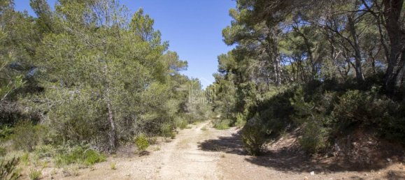 5740m² Land in Es Mercadal, Spain No. 5214 7