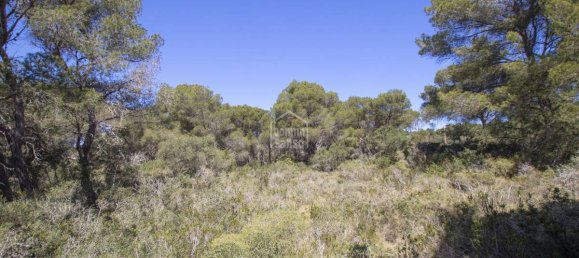 5740m² Land in Es Mercadal, Spain No. 5214 9