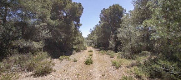 5740m² Land in Es Mercadal, Spain No. 5214 8