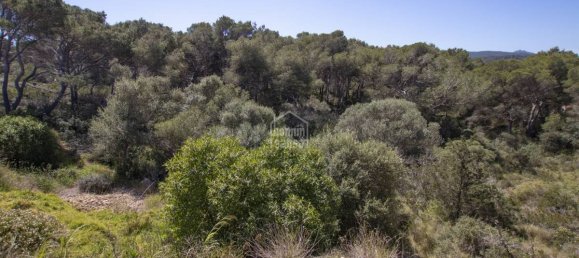 5740m² Land in Es Mercadal, Spain No. 5214 5