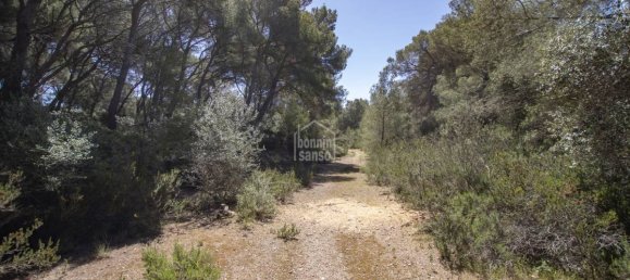 5740m² Land in Es Mercadal, Spain No. 5214 6