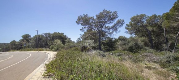 5740m² Land in Es Mercadal, Spain No. 5214 4