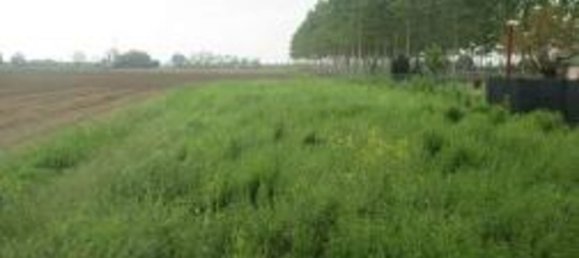 Дом с 2 комнатами в Саббьонета, Италия № 314752 41