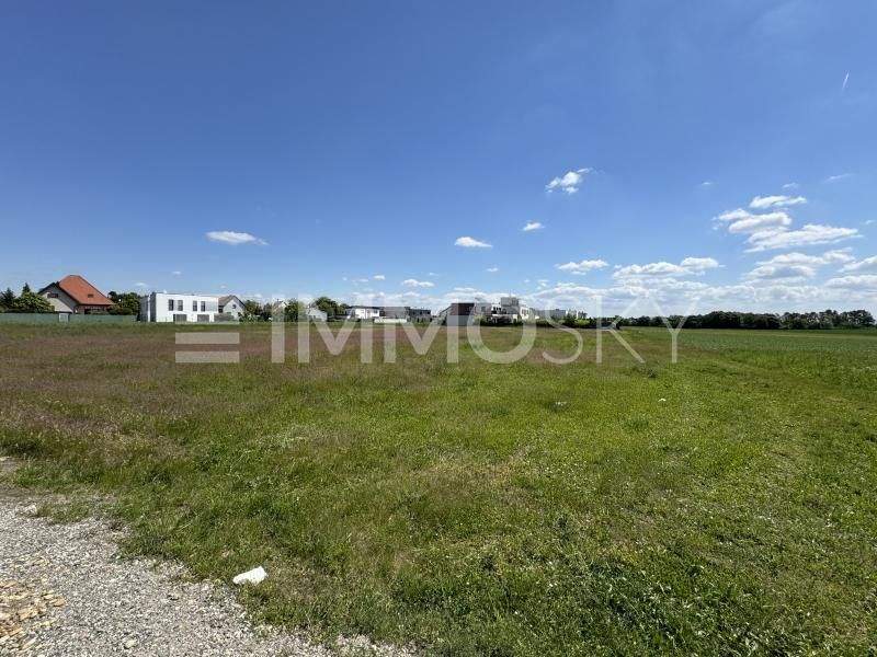 Land in Gerasdorf bei Wien, Austria No. 242970