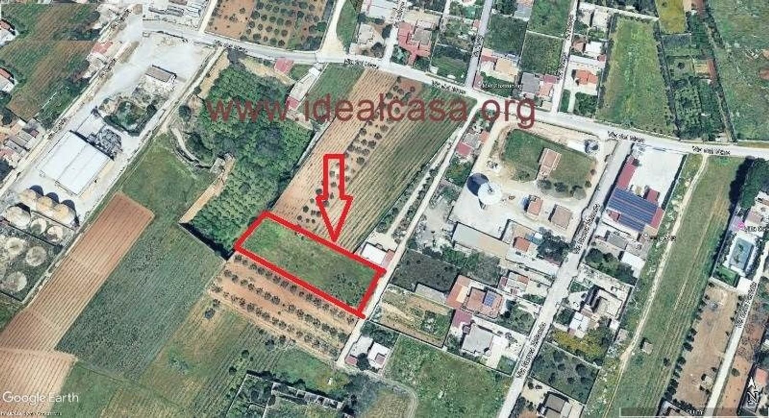  Land in Mazara del Vallo, Italy No. 384390