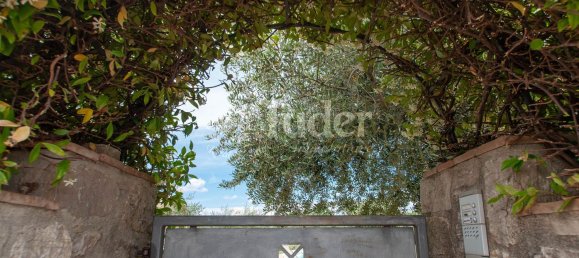 6 rooms House in Avigliano Umbro, Italy No. 76181 22