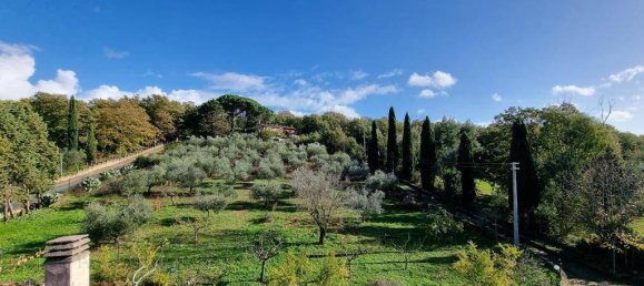 12 chambres Villa à Trevignano Romano, Italy No. 105988 18