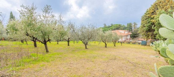 12 chambres Villa à Trevignano Romano, Italy No. 105988 32