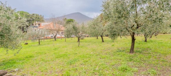 12 chambres Villa à Trevignano Romano, Italy No. 105988 34