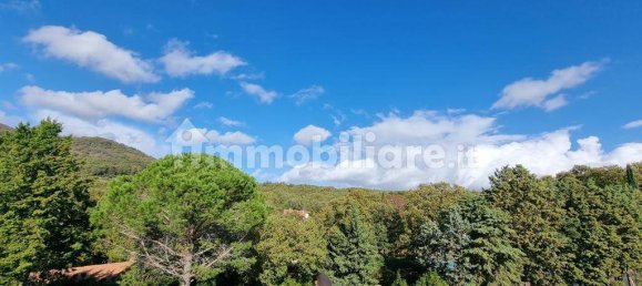 12 chambres Villa à Trevignano Romano, Italy No. 105988 6