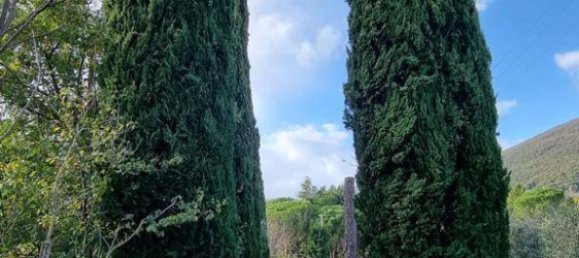 12 chambres Villa à Trevignano Romano, Italy No. 105988 5