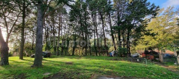 12 chambres Villa à Trevignano Romano, Italy No. 105988 14