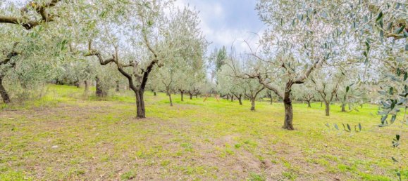 12 chambres Villa à Trevignano Romano, Italy No. 105988 33