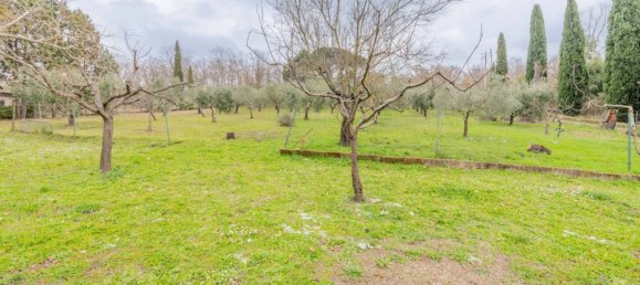 12 chambres Villa à Trevignano Romano, Italy No. 105988 29