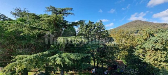 12 chambres Villa à Trevignano Romano, Italy No. 105988 19