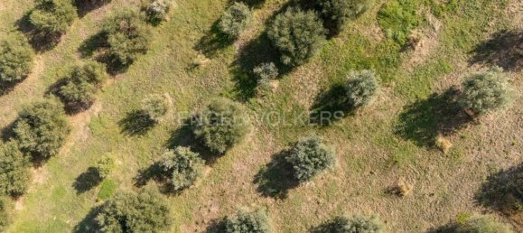 6 bedrooms House in Scansano, Italy No. 370669 31