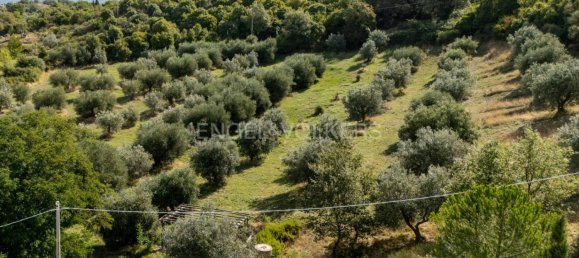 6 bedrooms House in Scansano, Italy No. 370669 32