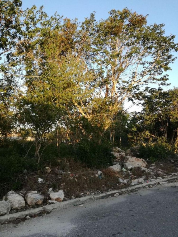 Grundstück in Merida, Mexico, Nr. 99778