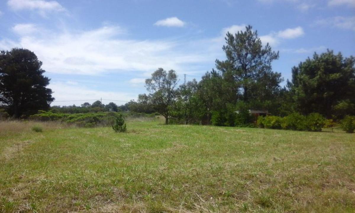 Grundstück in Mar del Plata, Argentina, Nr. 115167