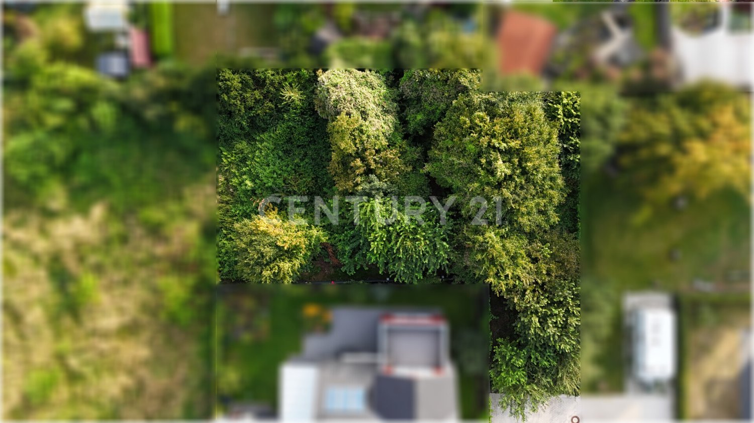  قطعة أرض في County of Bentheim, Germany رقم 326382