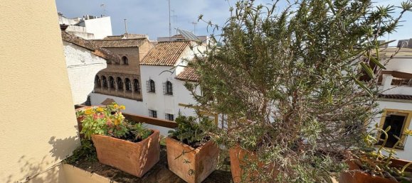 1 Schlafzimmer Haus in Cordoba, Spain, Nr. 141558 13